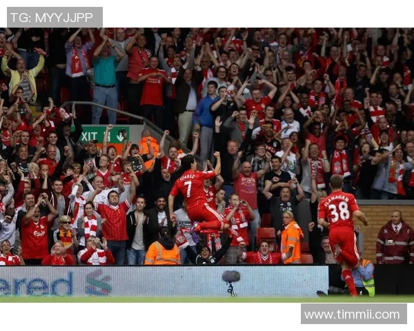 球星足球直播带你畅享精彩赛事全景解读尽览绿茵巅峰对决